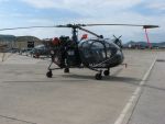 20100807191320_ftpj_25.jpg